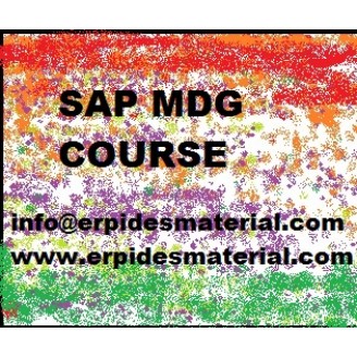 SAP MDG TRAINING VIDEOS COURSE
